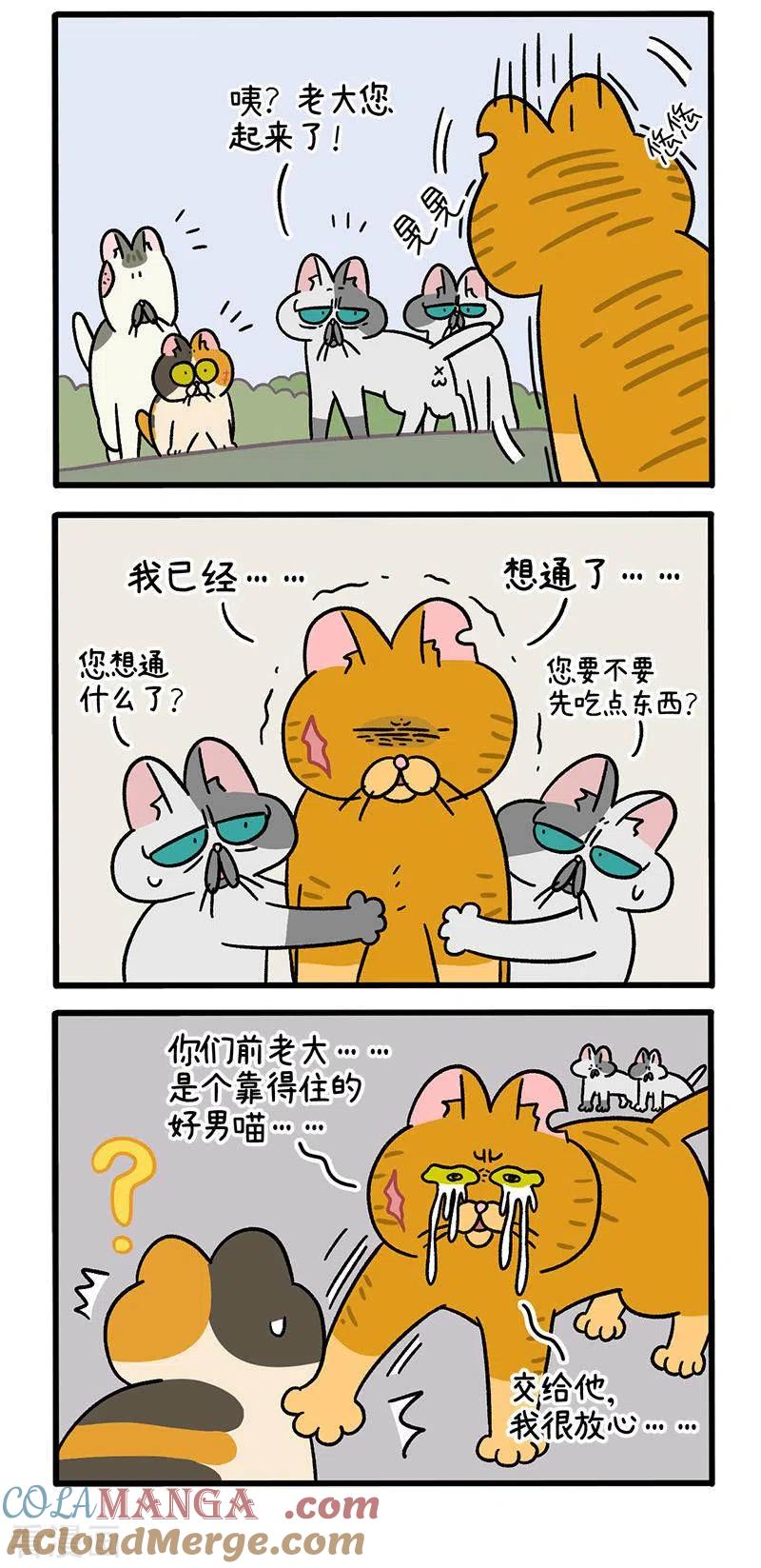 番外6阿黄失恋了-阿满和麦茶-新漫画 日胖大海寺（第3张）