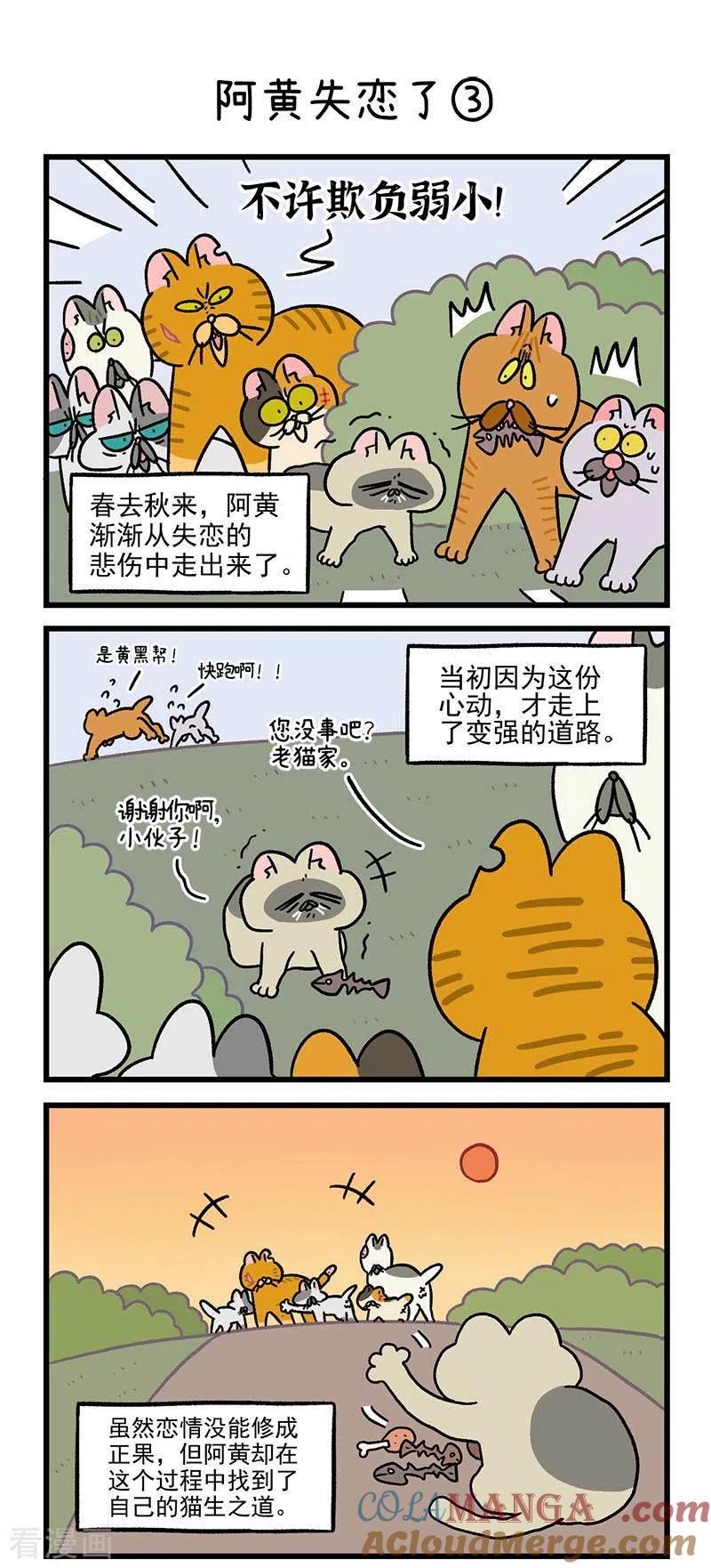 番外6阿黄失恋了-阿满和麦茶-新漫画 日胖大海寺（第4张）