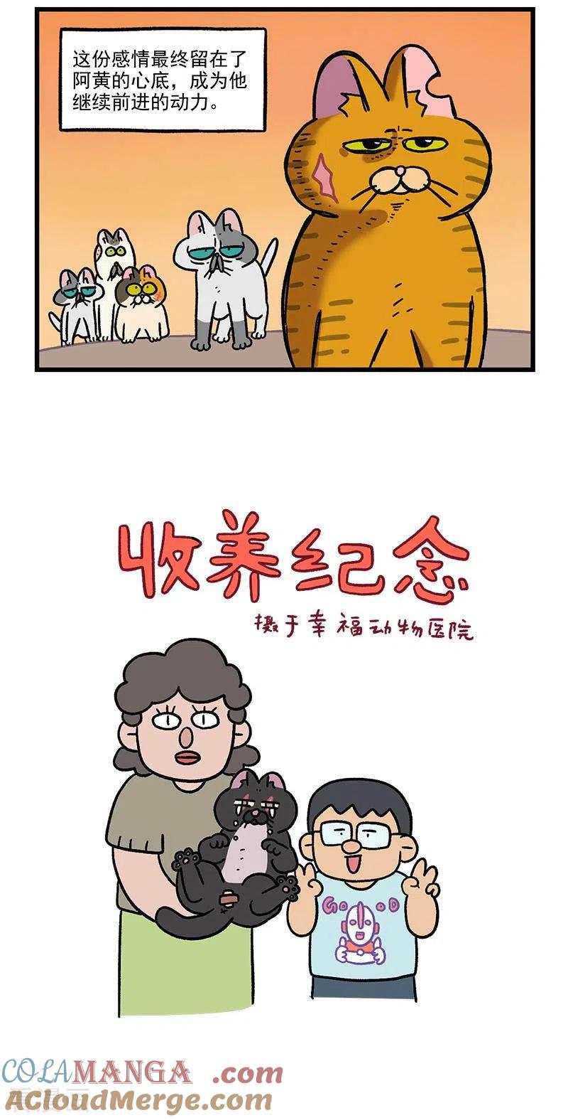 番外6阿黄失恋了-阿满和麦茶-新漫画 日胖大海寺（第5张）