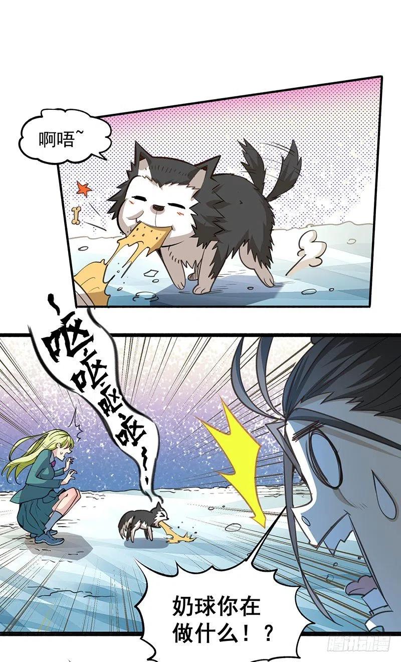 6.jpg