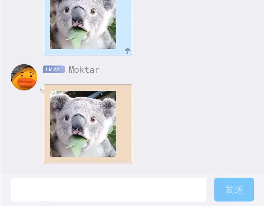 44.jpg