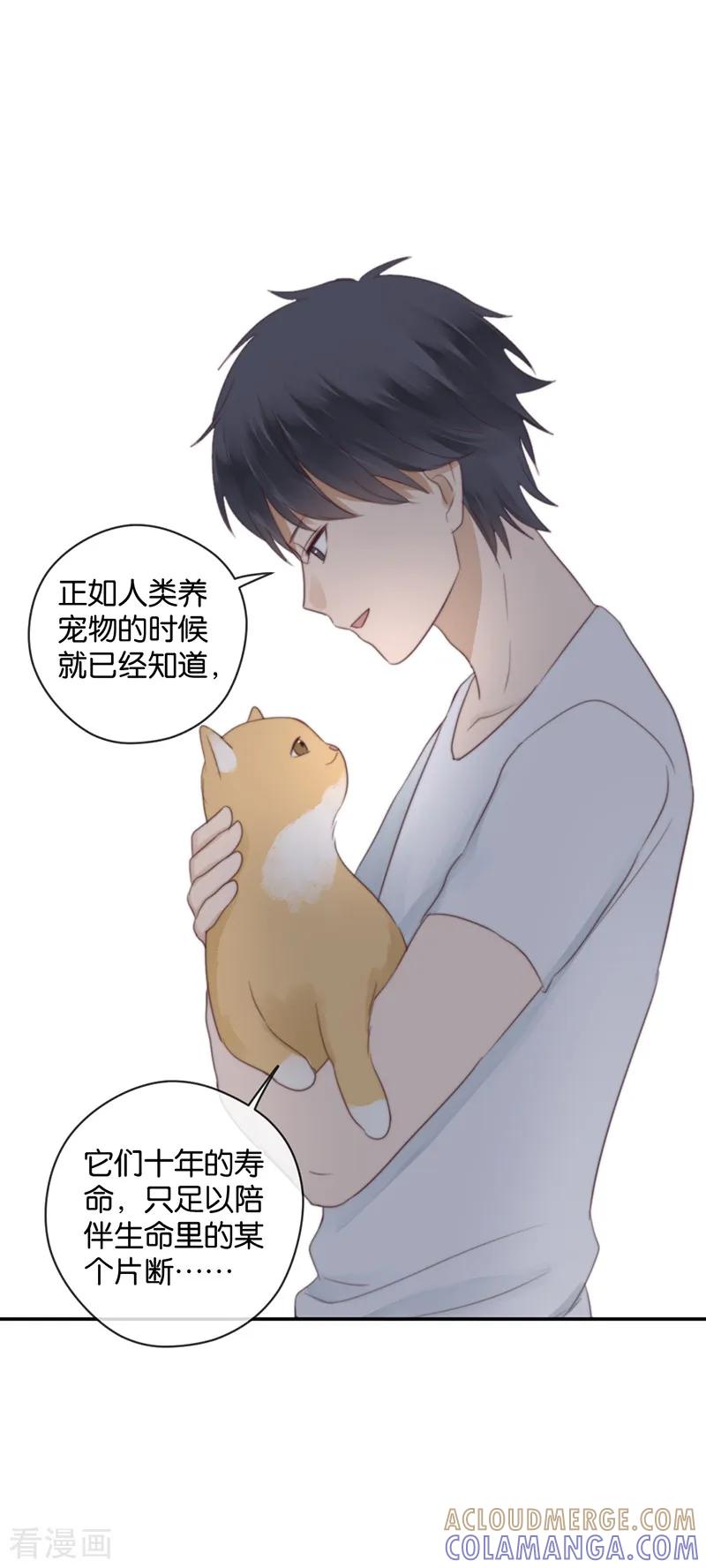 第40话以我昼夜，护她一生-天使大人别吻我-有鹿文化（第15张）