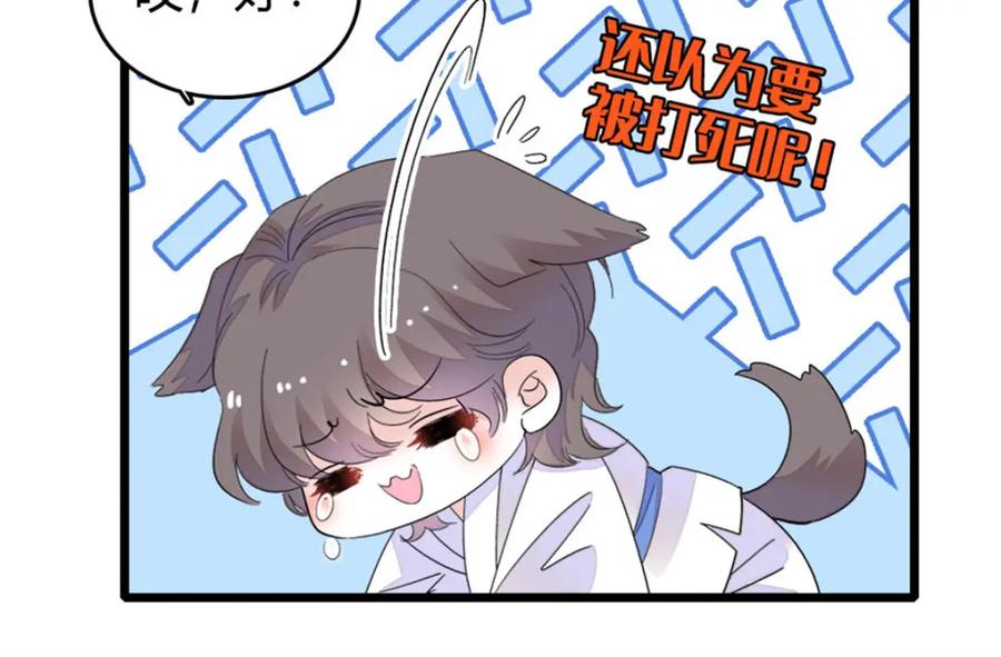 70他急了他急了-全能千金燃翻天-阅文漫画/客心文化（第9张）