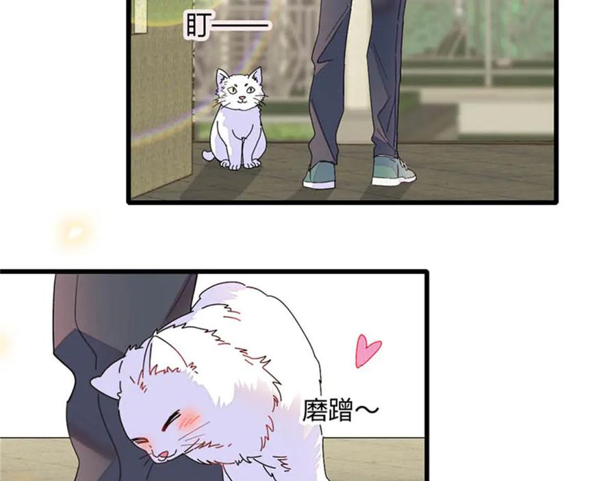 81怎么会想起他-全能千金燃翻天-阅文漫画/客心文化（第26张）