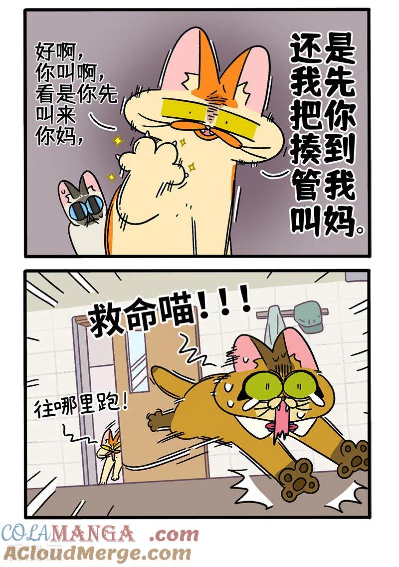 第69话2德皮特滑铁卢-阿满和麦茶-新漫画 日胖大海寺（第2张）