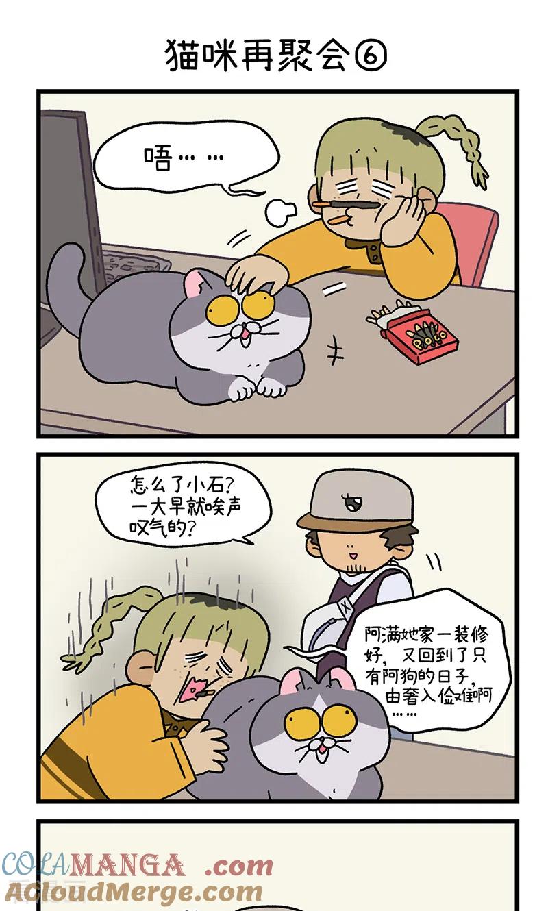 第82话2猫咪再聚会-阿满和麦茶-新漫画 日胖大海寺（第5张）