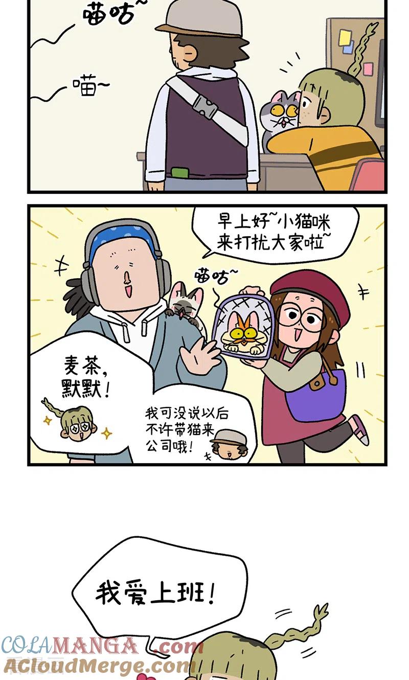 第82话2猫咪再聚会-阿满和麦茶-新漫画 日胖大海寺（第6张）