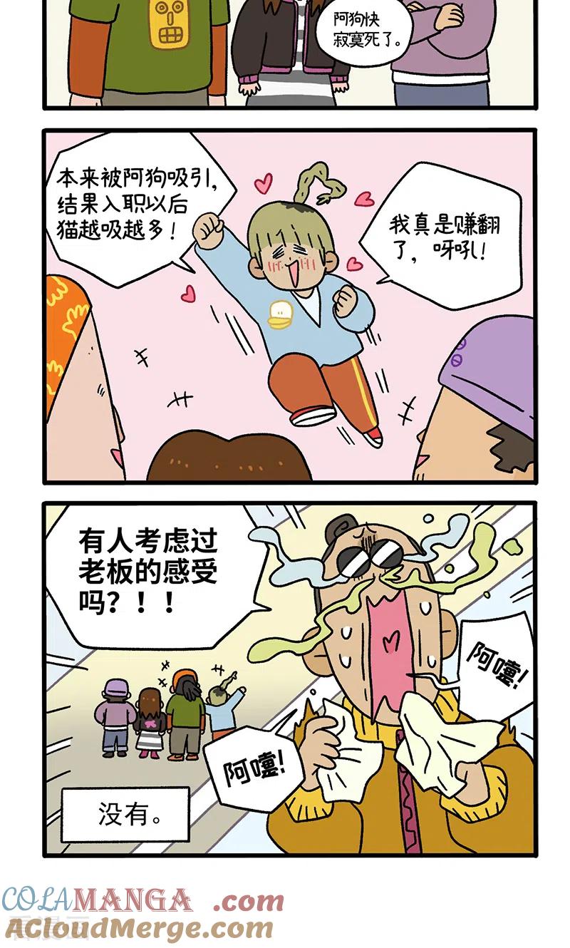 第82话2猫咪再聚会-阿满和麦茶-新漫画 日胖大海寺（第4张）