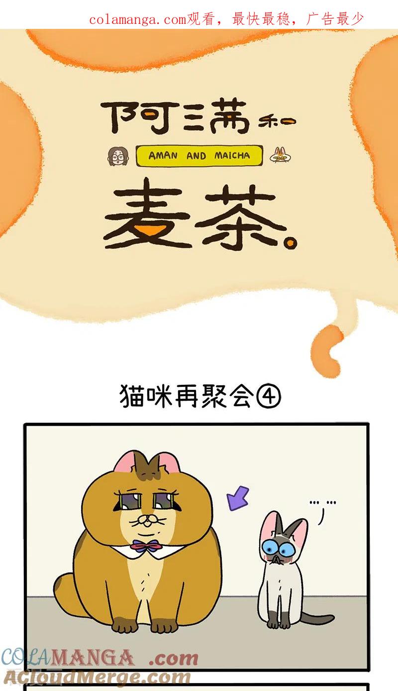 第82话2猫咪再聚会-阿满和麦茶-新漫画 日胖大海寺（第1张）