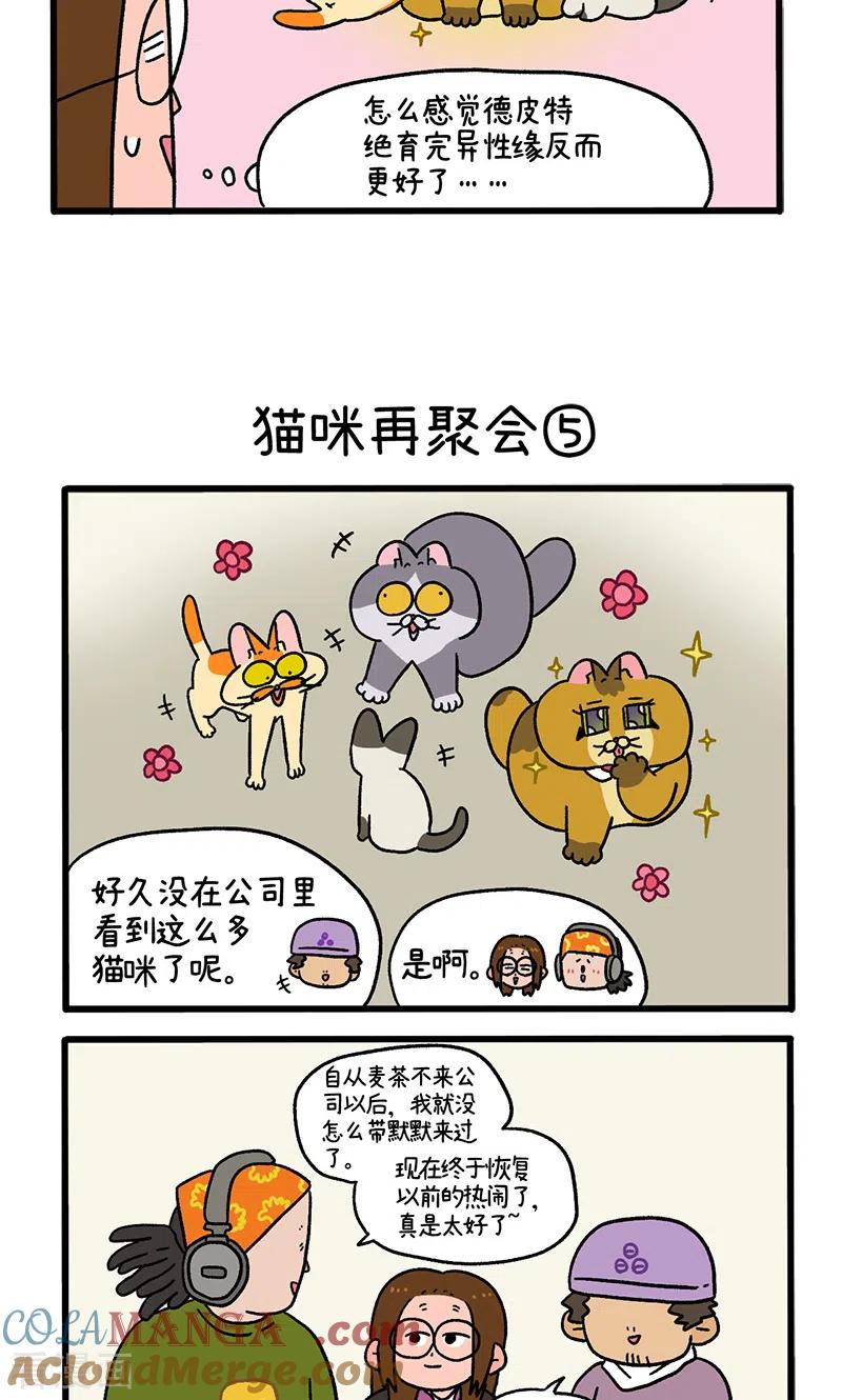 第82话2猫咪再聚会-阿满和麦茶-新漫画 日胖大海寺（第3张）