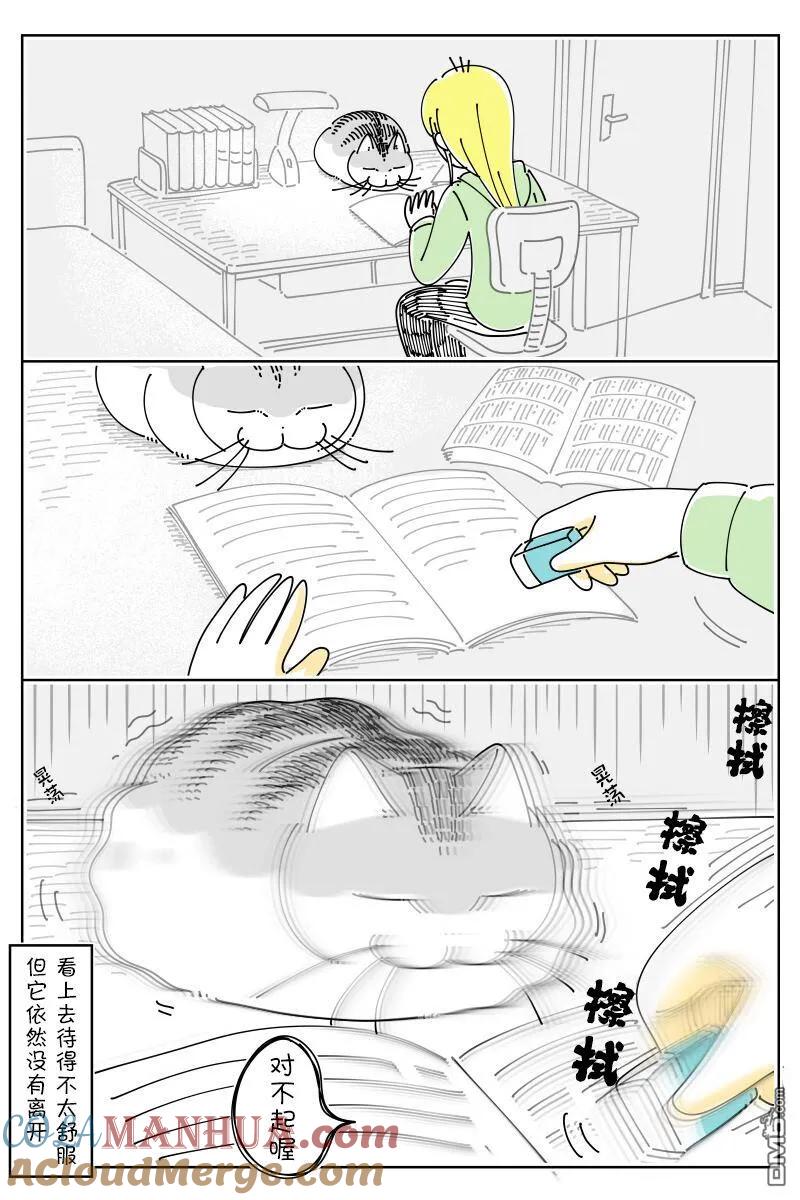 第158话-关于养猫我一直是新手-キュルZ（第2张）