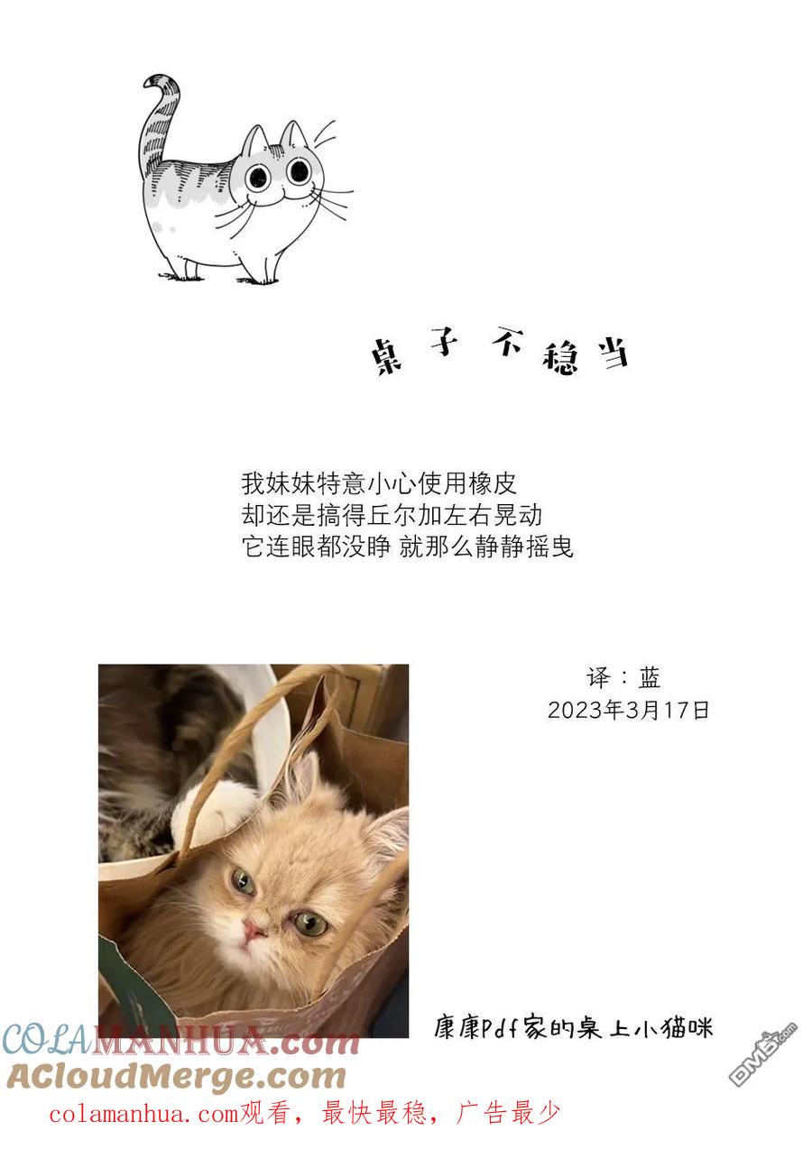 第158话-关于养猫我一直是新手-キュルZ（第3张）