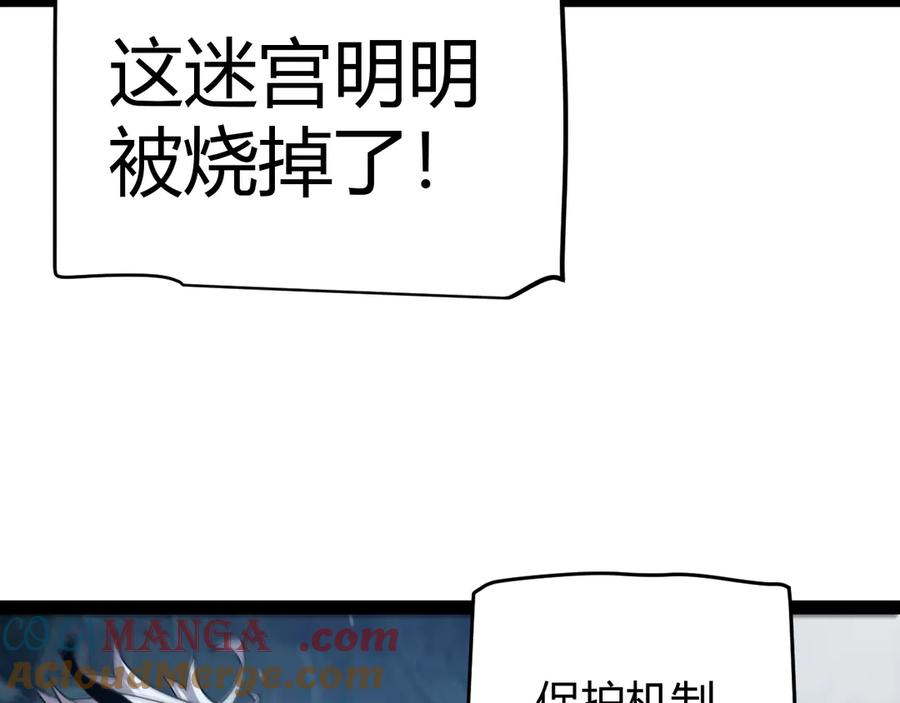 141.jpg