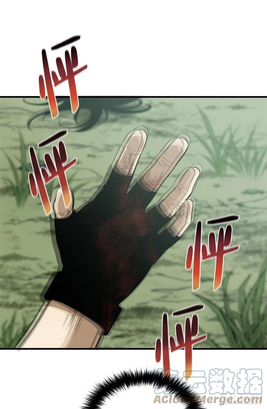 31.jpg