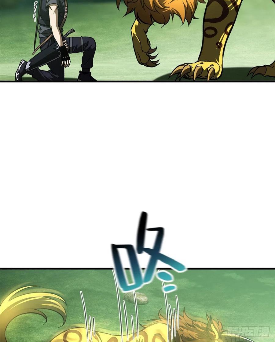 21.jpg