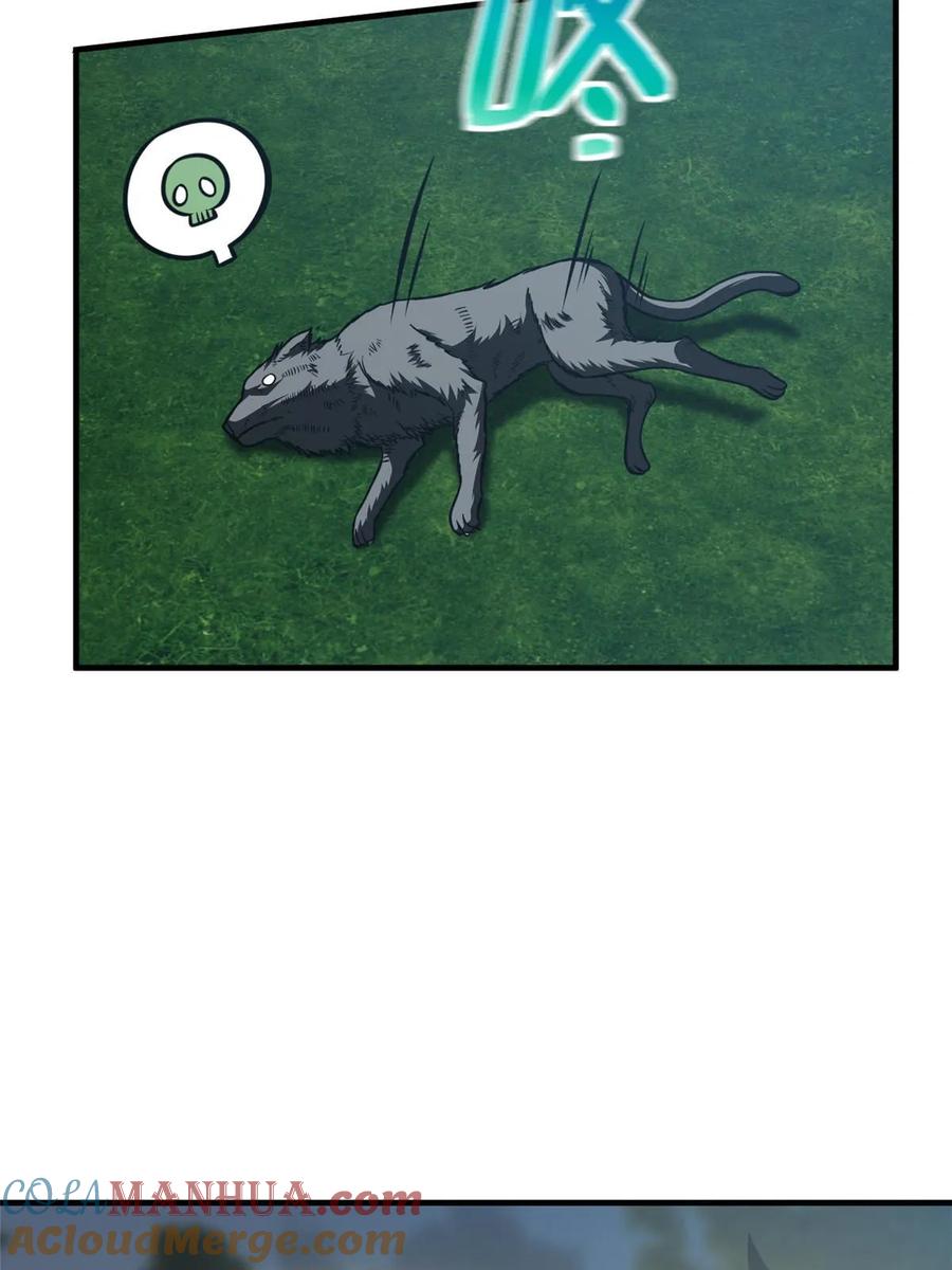 13.jpg