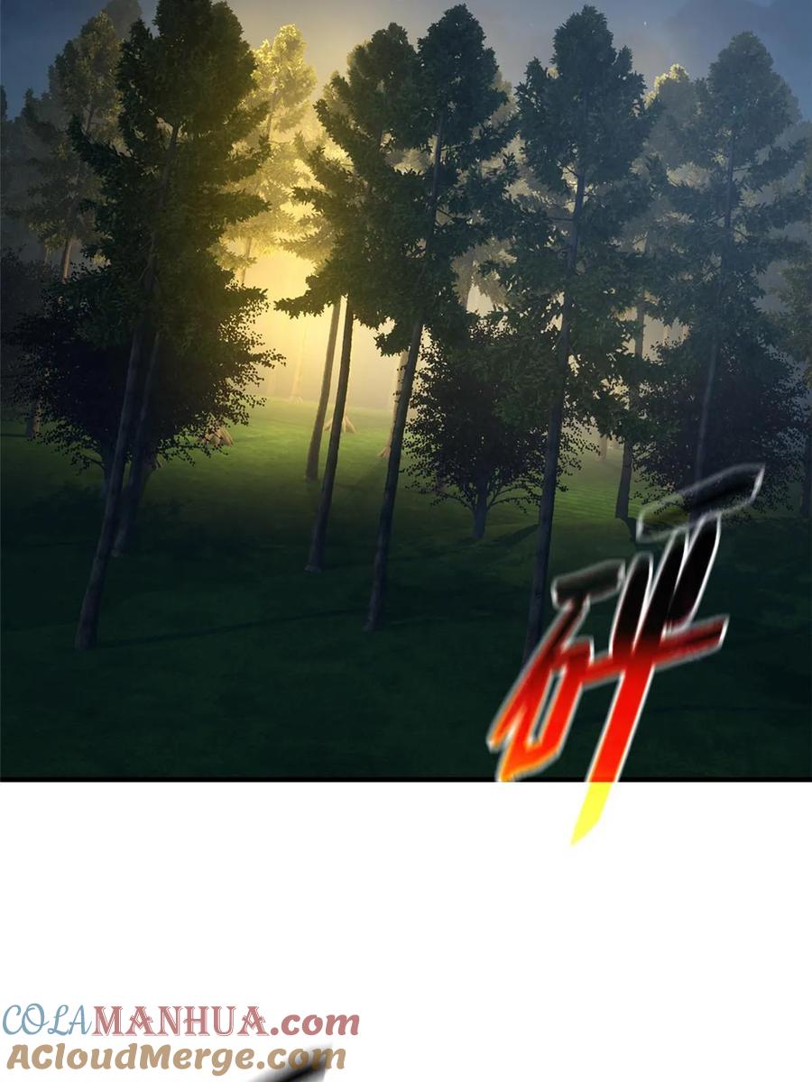 31.jpg
