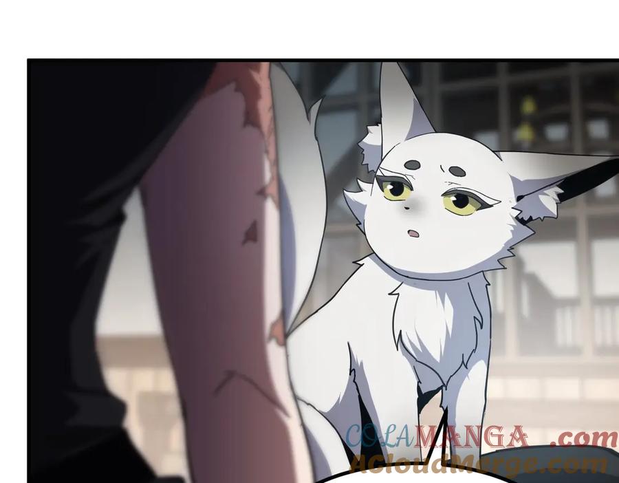 141.jpg