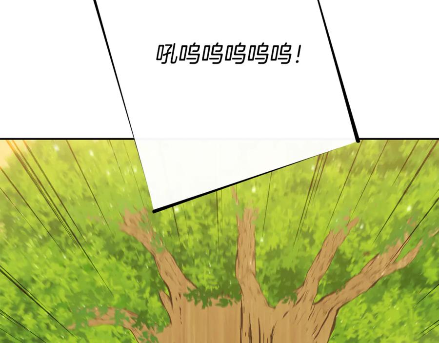 272.jpg