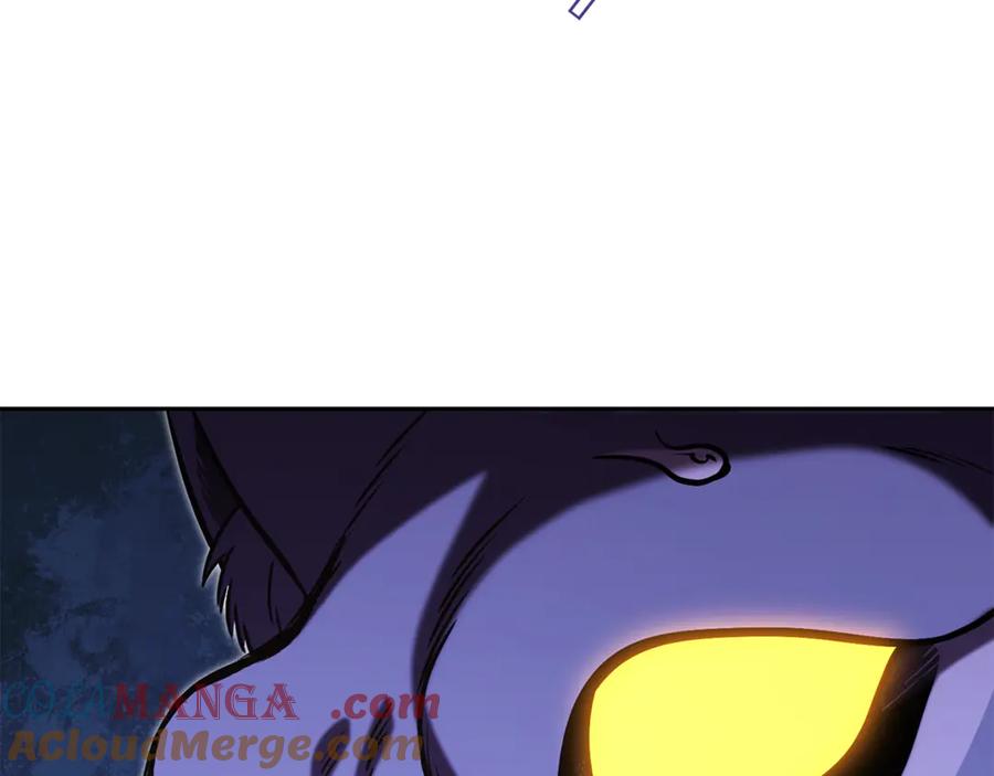 237.jpg