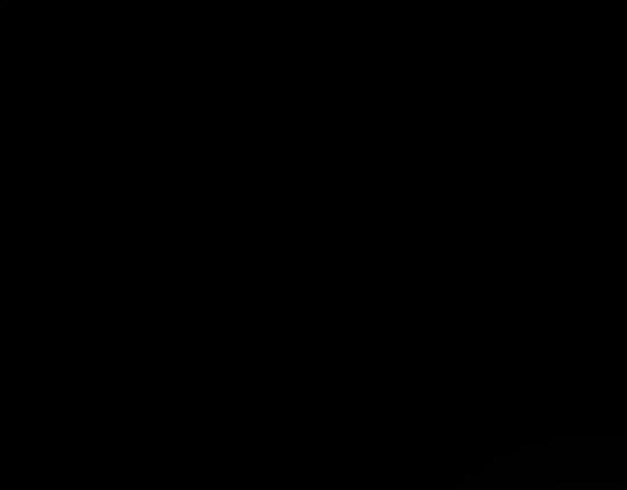78.jpg
