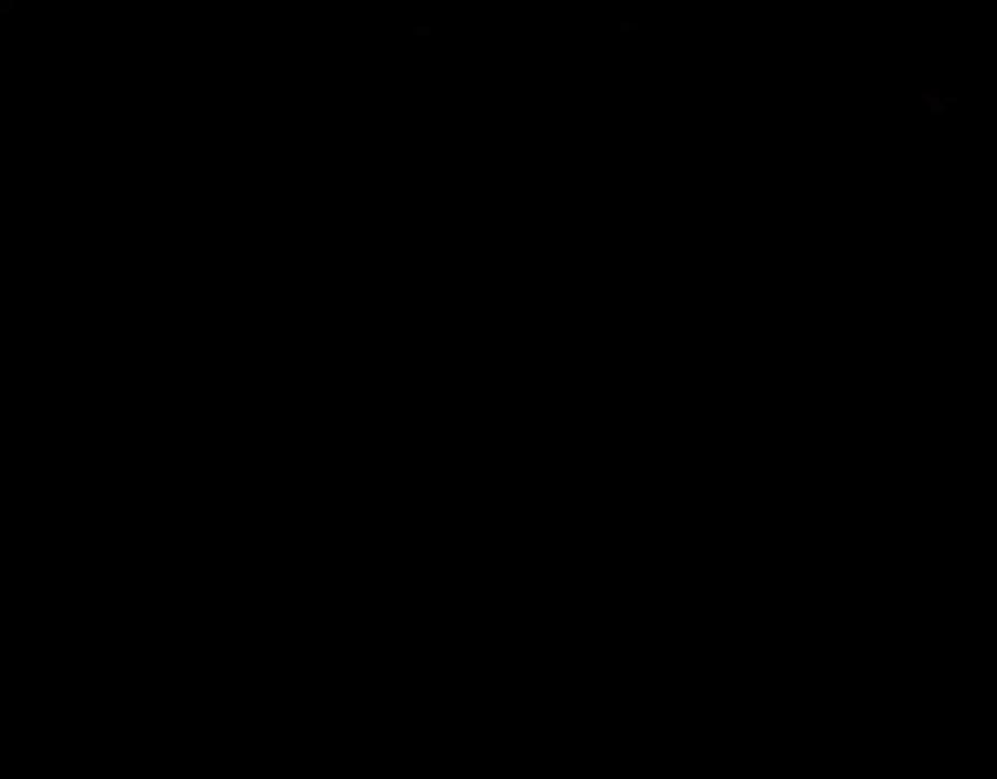 217.jpg