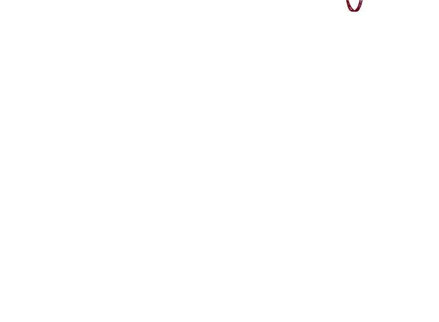 148.jpg