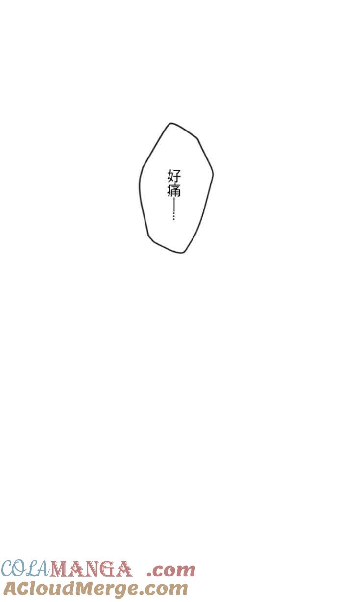 58.jpg