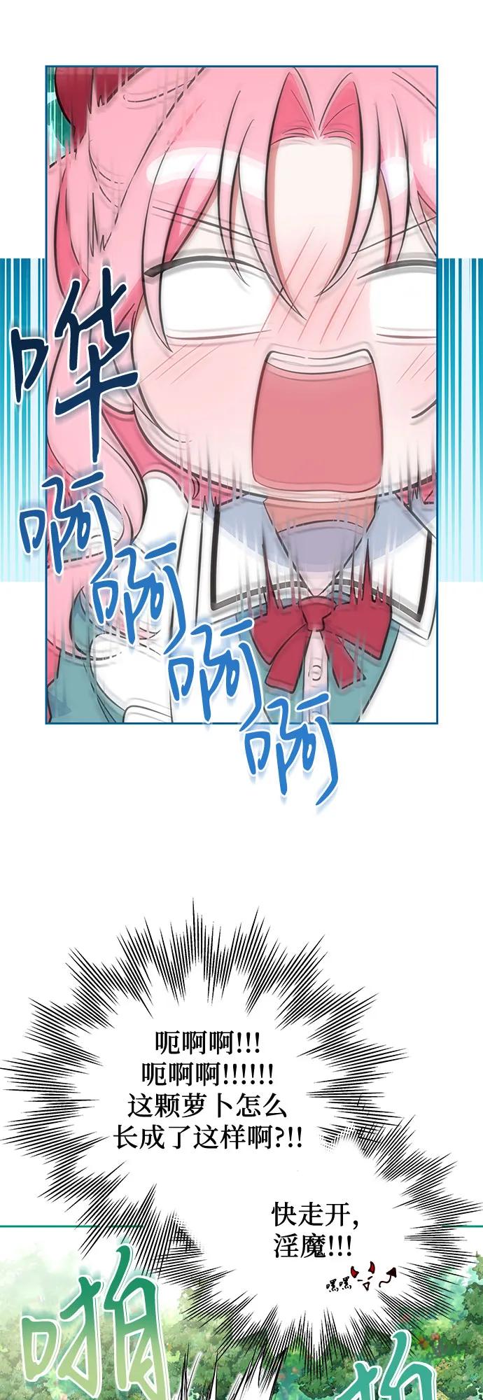 47.jpg