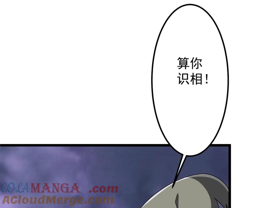 73.jpg