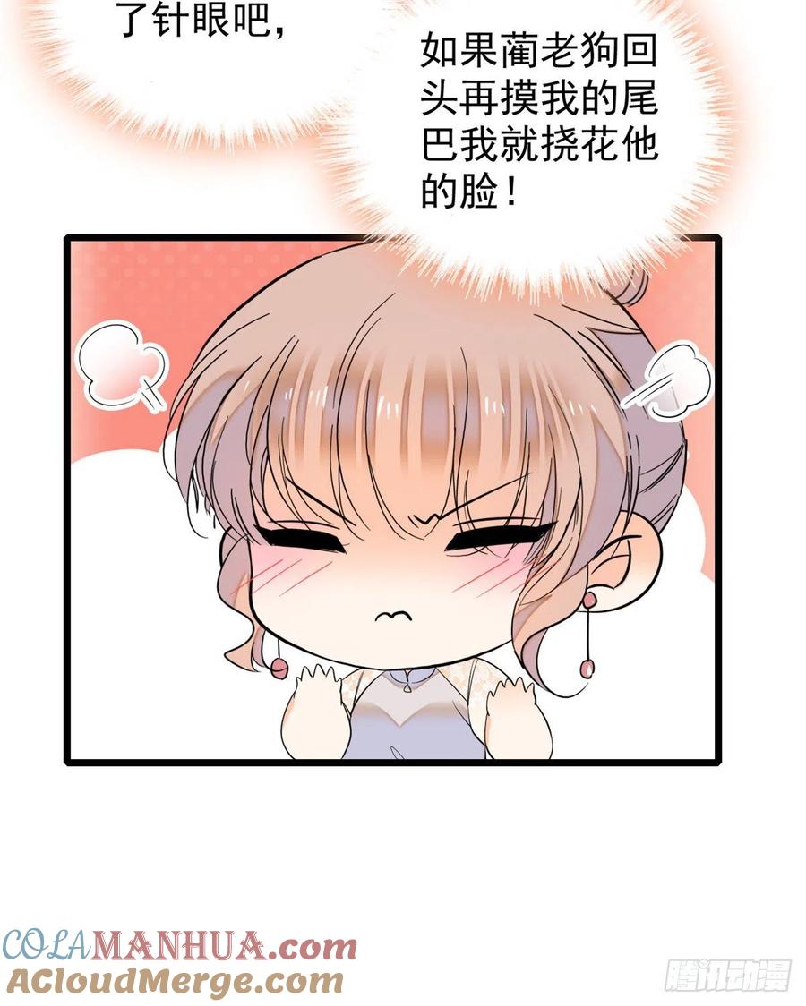 43.jpg