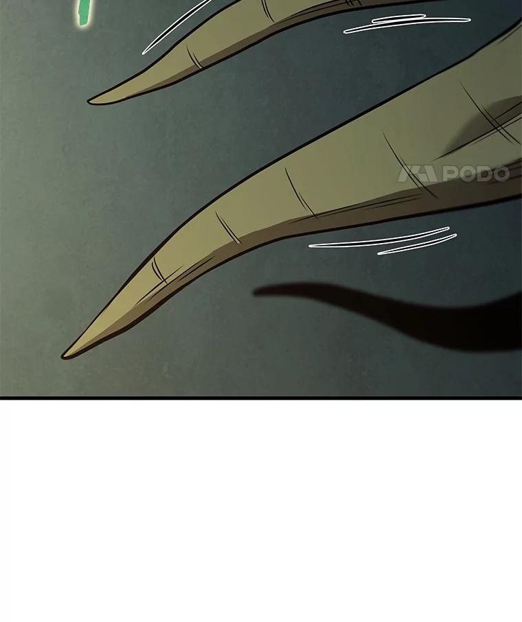 50.jpg