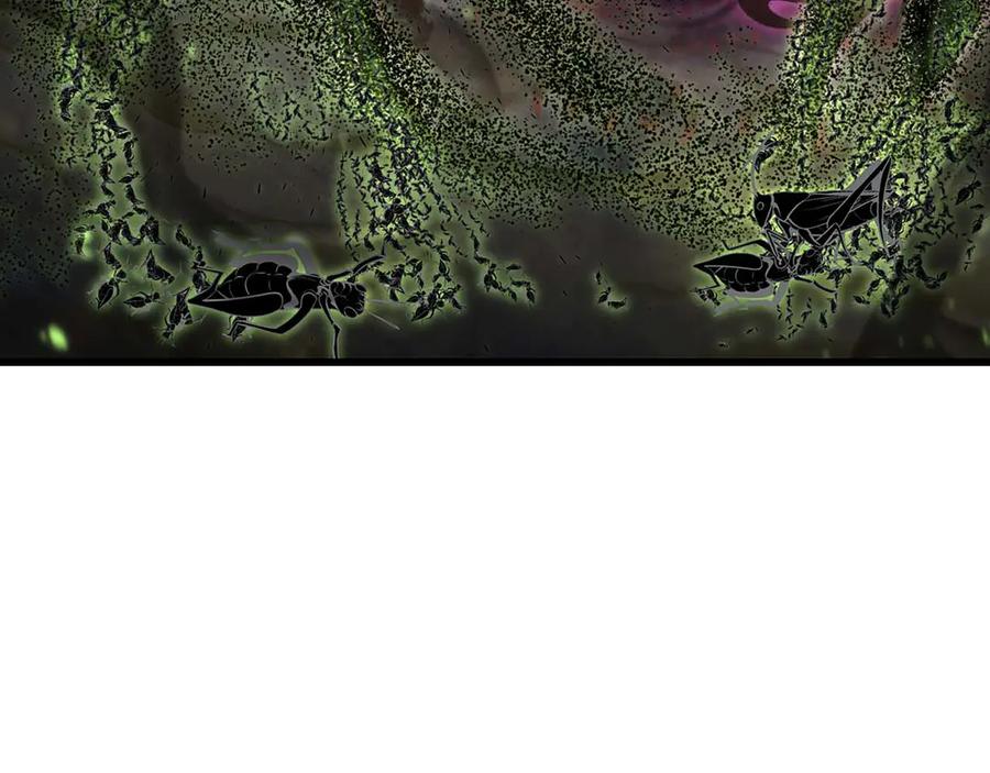 175.jpg