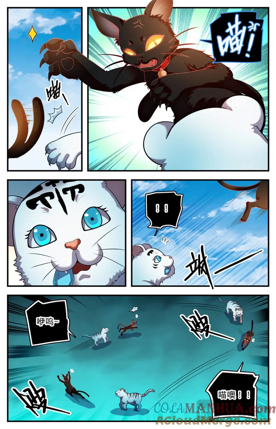 11.jpg