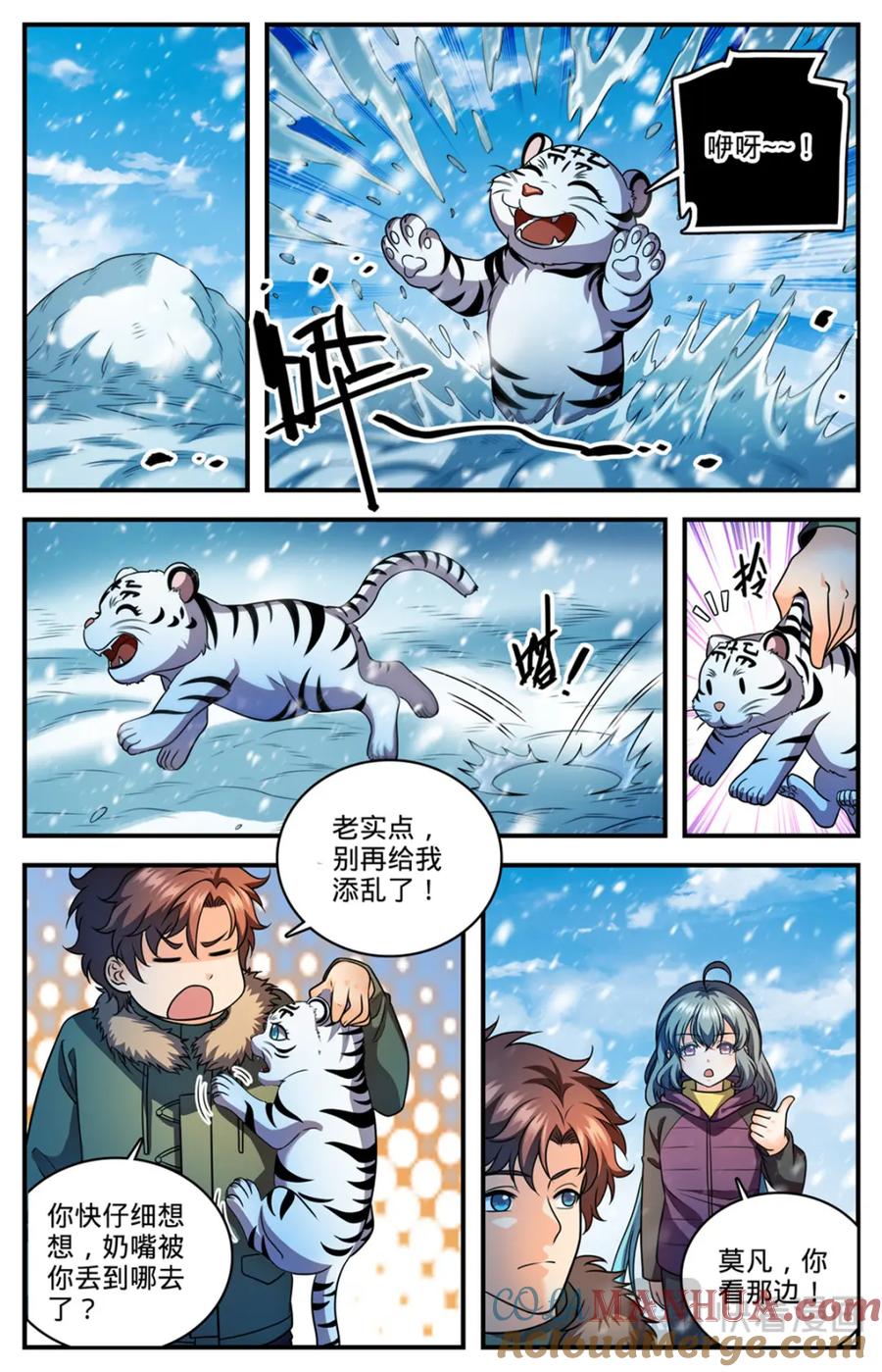 6.jpg