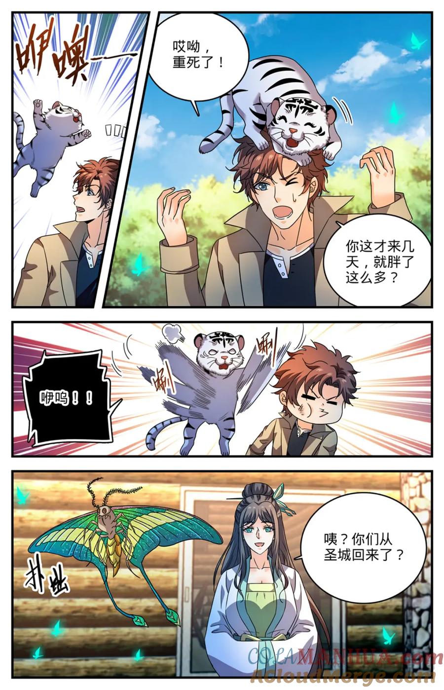 9.jpg