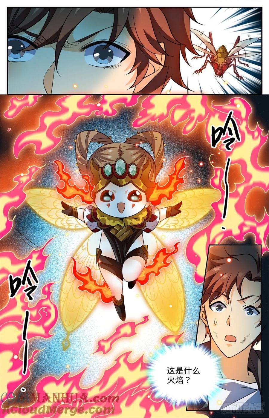 4.jpg