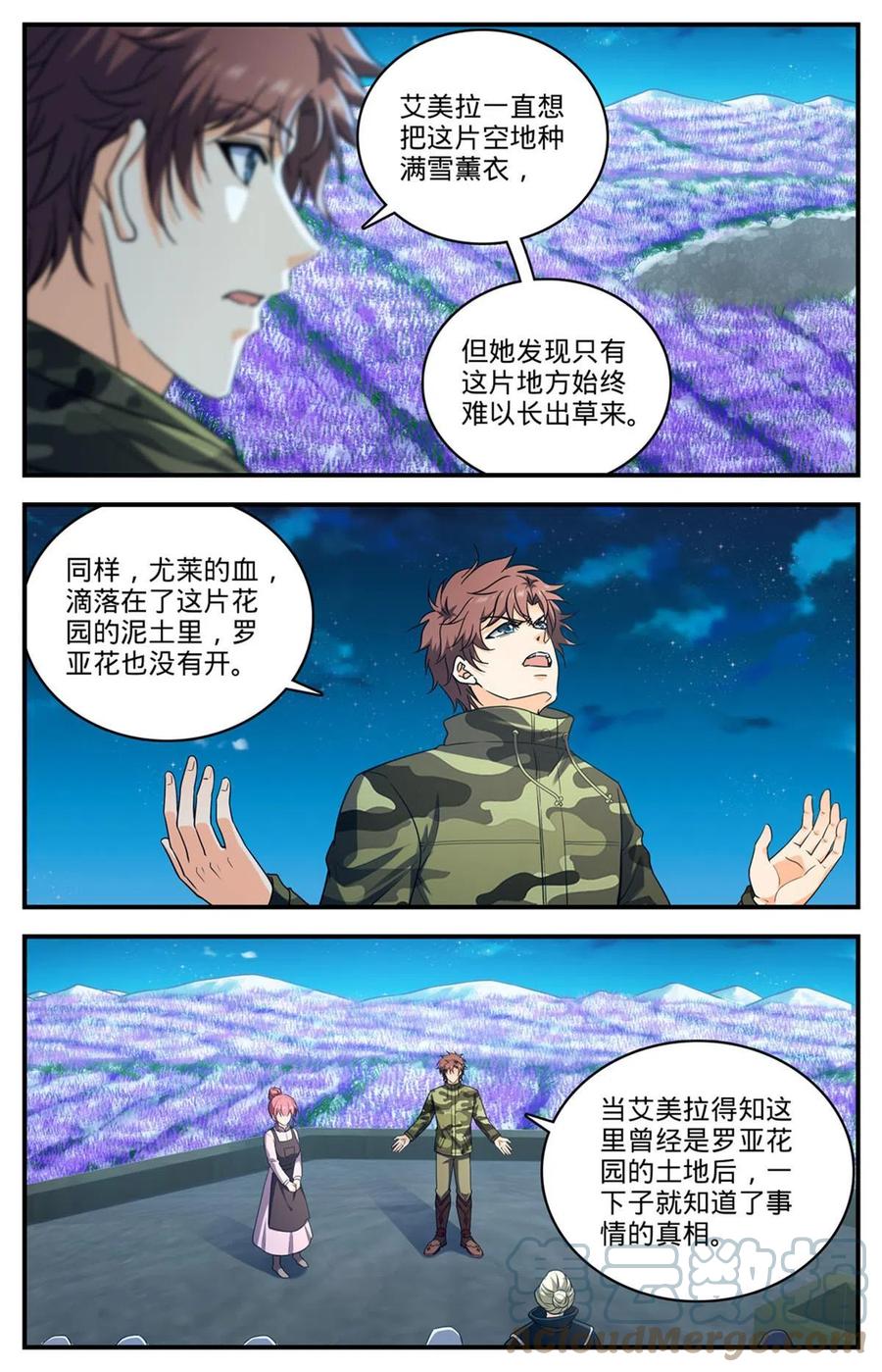 11.jpg
