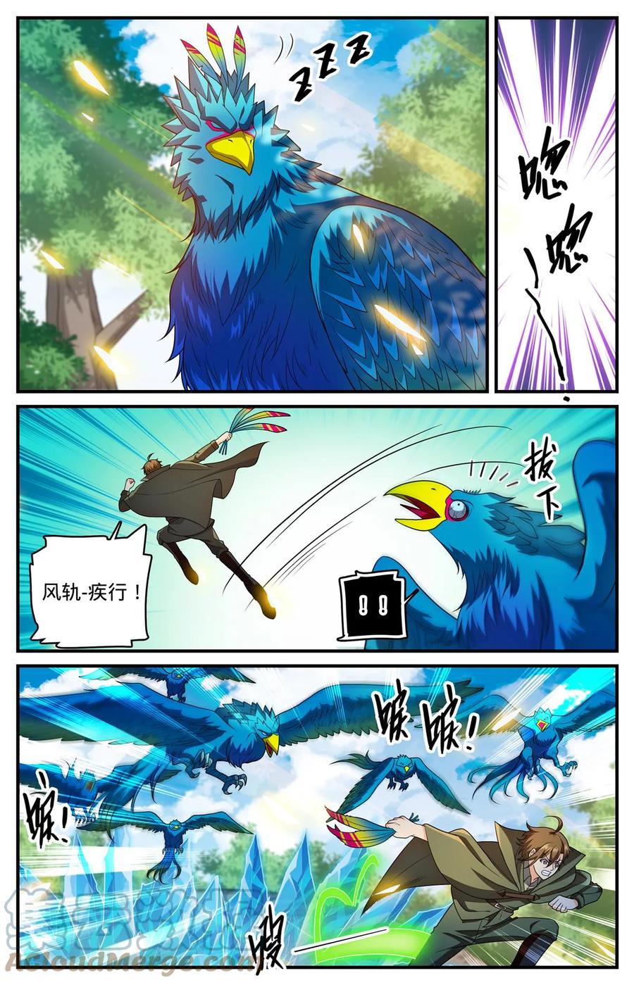 5.jpg