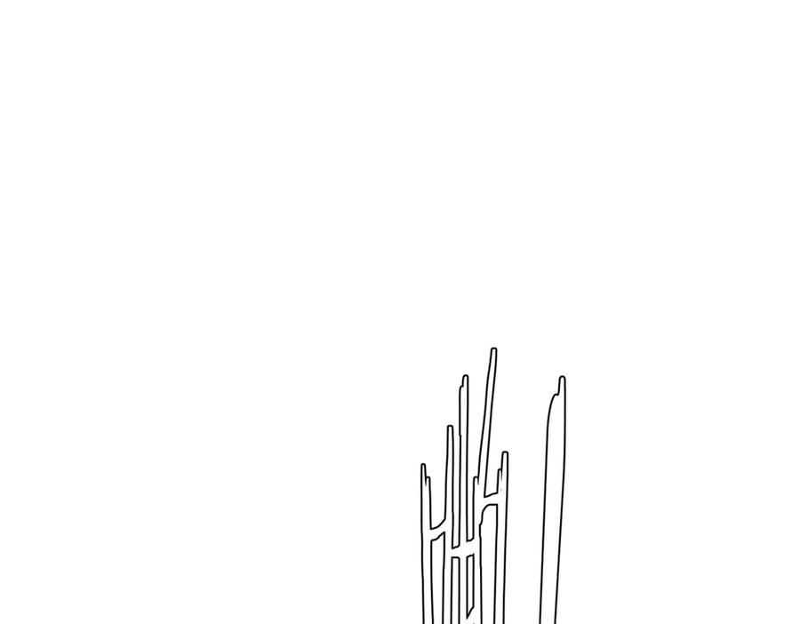 114.jpg