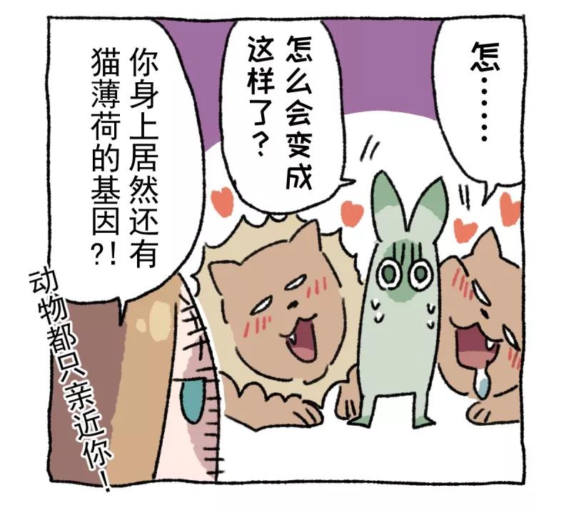 第9话动物园-不切传说-新漫画（第14张）