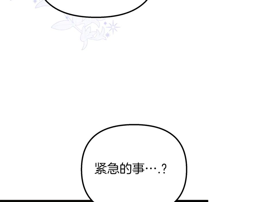 138.jpg