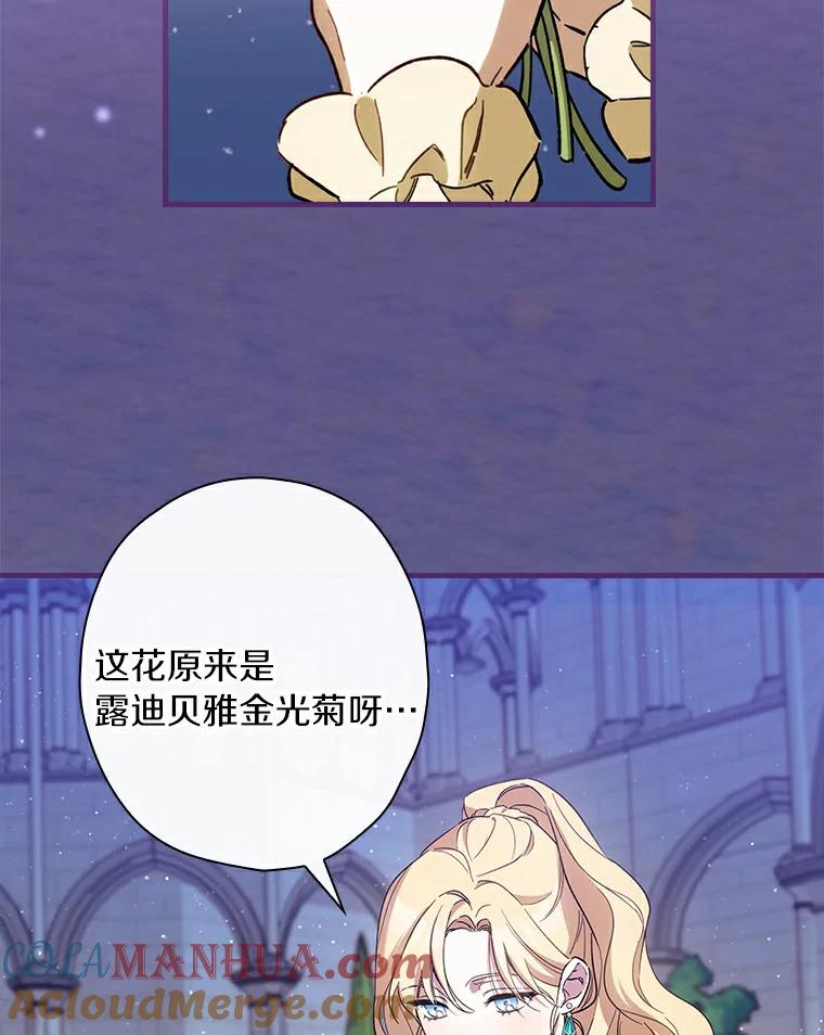 88.jpg