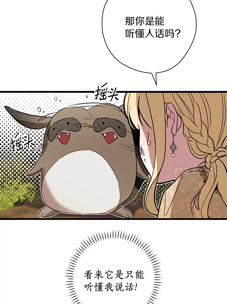 63.jpg