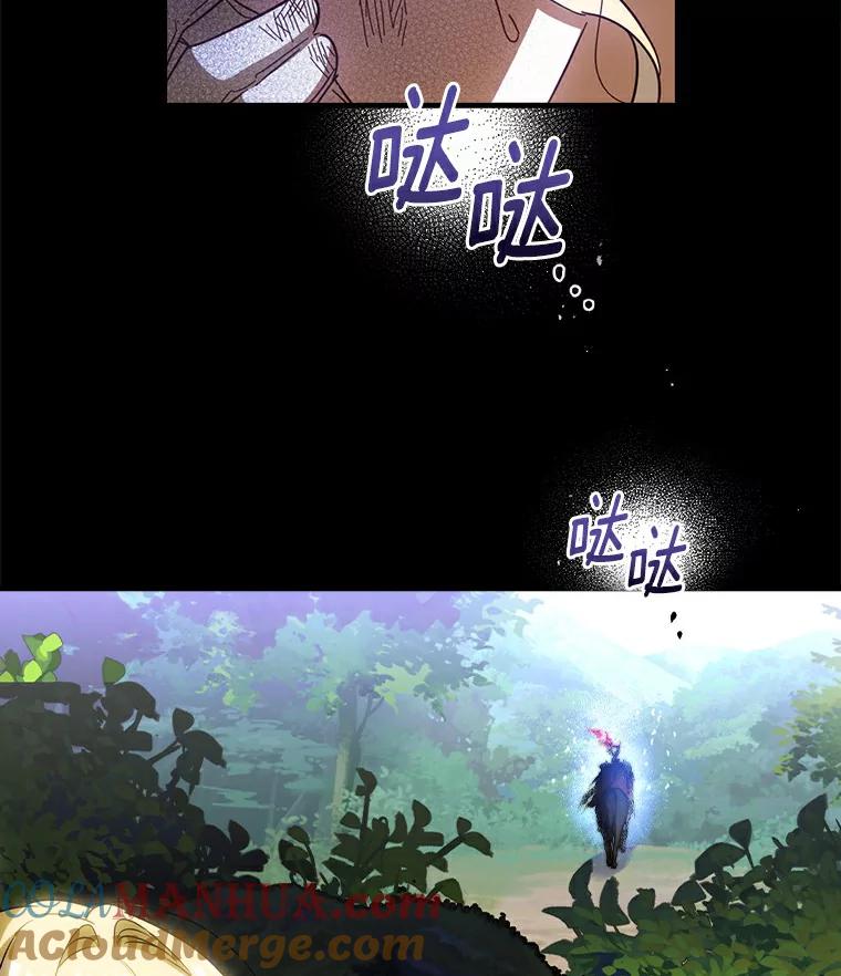 49.jpg