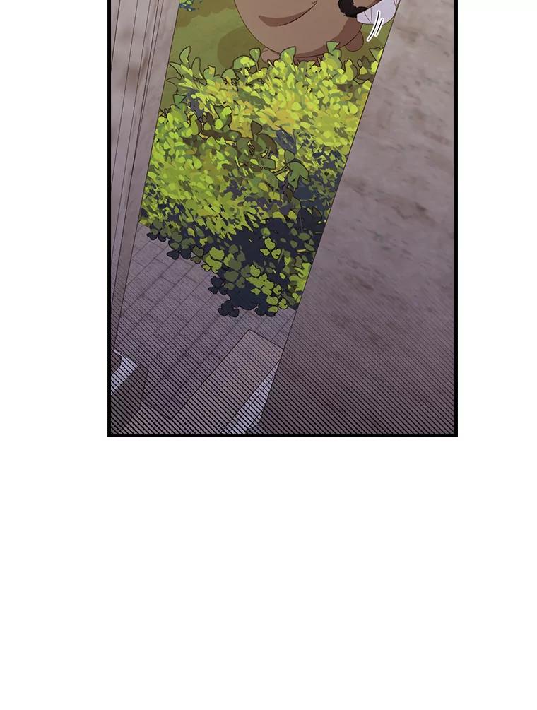 136.jpg