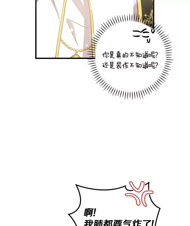74.jpg