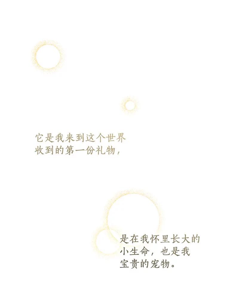 96.jpg