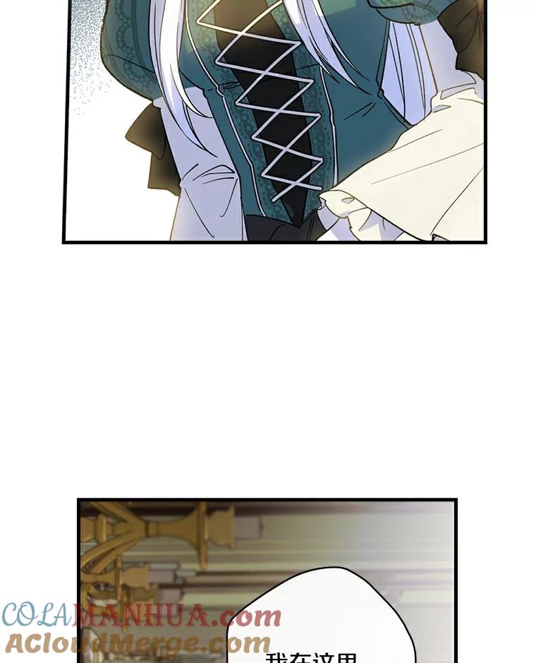 41.jpg
