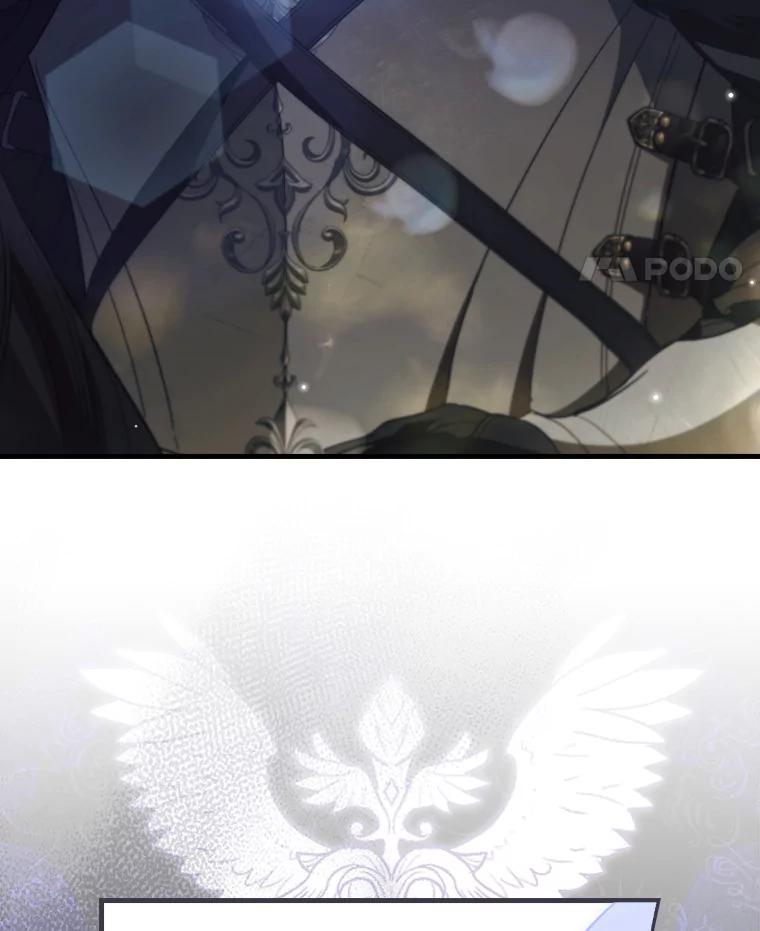 161.jpg